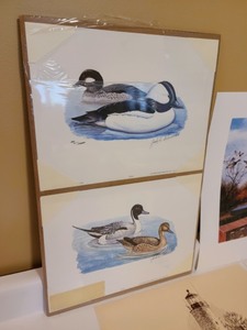 Large Lot of Unframed Wildlife Prints