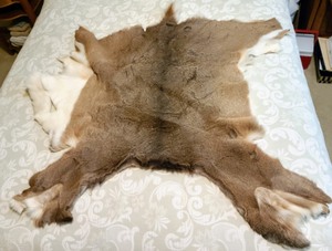 Deer Skin