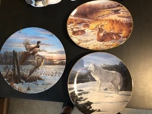 Commemorative Plate Lot