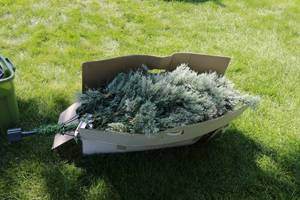 lot 335 image: 5 Pre lit Carson Pine Plastic Christmas Tree
