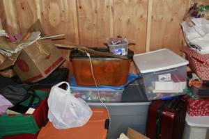 lot 342 image: Mega lot of Holiday Decor