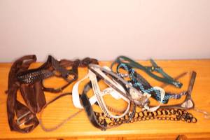 lot 205 image: Assorted fashion belts