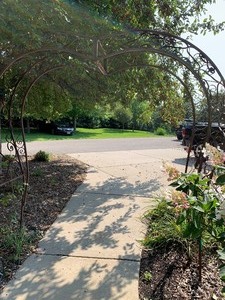 lot 12 image: Large Metal AborTrellis