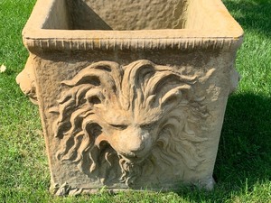 lot 16 image: Pair of Cement Square Lion Figural Planters