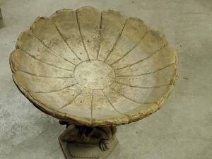 lot 156 image: Small Cherub Bird Bath