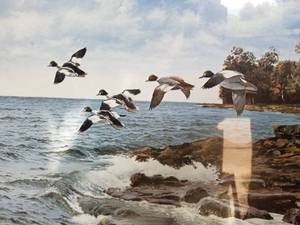 lot 109 image: David A. Maass Signed Print- Flying Over the Waves