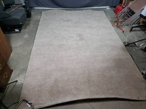 Large Area Rug