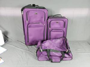 4 Piece Purple Leisure Luggage Set
