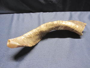 lot 85 image: Antique Elk Call
