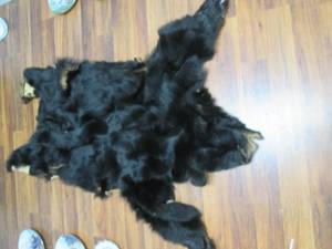 Bear Pelt See Photos...