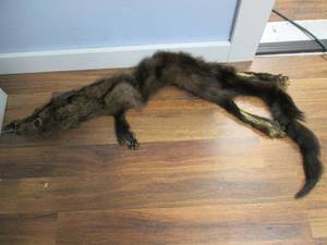 Mink Pelt...