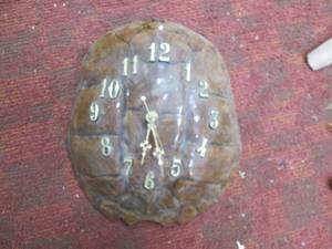 Turtle Shell Clock Unique...