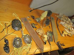 Large Lot of Animal Skulls, Carved ...