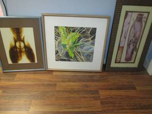 (3) Wall Hangings See Photos...