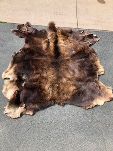 lot 183 image: Large Vintage Genuine Moose Hide Fur Wall Hanging Rug