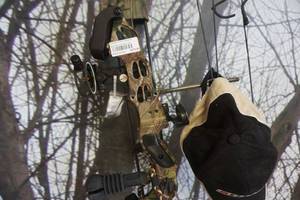 lot 10 image: Hoyt Reflex Buckster Compound Bow