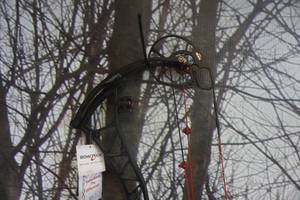lot 11 image: Bowtech Experience Black Ops Compound Bow
