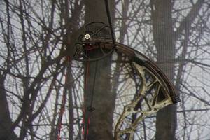 lot 12 image: Bowtech Invasion Compound Bow
