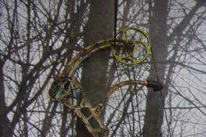 lot 17 image: Fred Bear Archery Attack Model Compound Bow