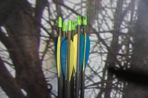 lot 281 image: Gold Tip Hunter Express Arrows Lot of 6