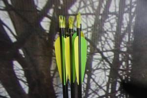 lot 282 image: Easton Game Setter Lot of 6 Arrows