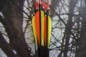 lot 283 image: Easton Game Setter Lot of 6 Arrows