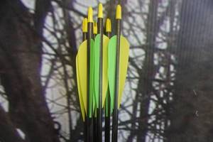 lot 284 image: Easton Carbon Storm Arrows Lot of 6