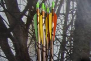 lot 285 image: Easton Camo Extreme Super Lite Predator Arrows Lot of 8