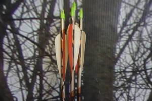 lot 286 image: Easton Super Slam Lot of 5 Arrows