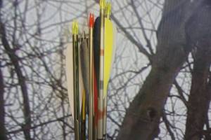 lot 287 image: Easton Camo Hunter Game Setter XX75 Lot of 6 Arrows