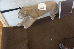 lot 395 image: Delta Mckenzie 3D Cougar Archery Target With Stocking Cap