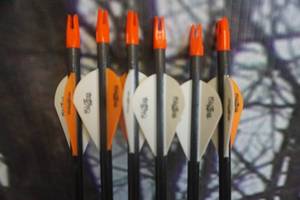 lot 276 image: Easton Carbon Storm Arrows Lot of 6