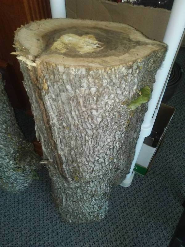 lot 230A image: Ironwood log