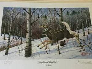 lot 167 image: Frightened Whitetail Framed Art