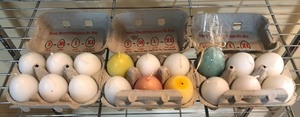 lot 205 image: Easter Lot