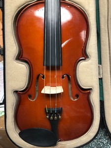 lot 225 image: Palatino Violin VN-350