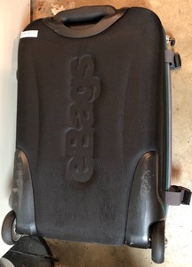 lot 269 image: EBag- Rolling Luggage