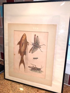 lot 290 image: Two Framed Pictures