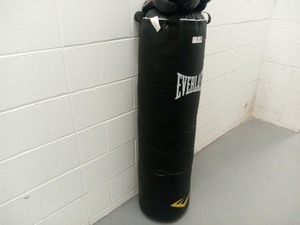 Everlast Heavy Bag & Speed Bag with Century Boxing Gloves