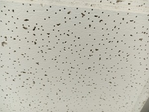 10 piece Commercial Drop cieling with rails