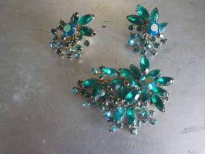 Matching Pin and Earrings...
