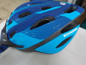 Schwinn Helmet...