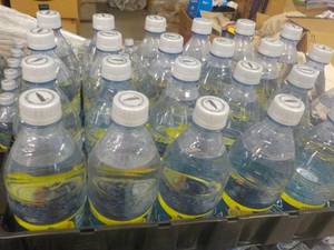 Case of 24 Dasani Lemon Flavored Wa...