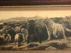 lot 7 image: Antique 1880s Oak Framed Cattle Livestock Herd Etching - Highland Raid by Rosa Bonheur
