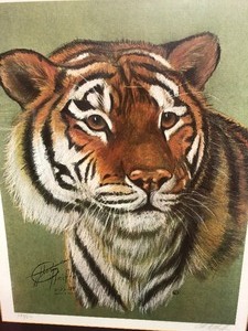 lot 106 image: Framed Signed Numbered MN Artist OTTO PFEIFFER Tiger Print
