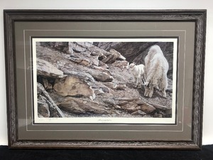 lot 110 image: Framed Signed Numbered DARREN HALEY Western Wildlife Print w Mountain Goats Athabasca Spring