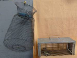 lot 147 image: Live Trap