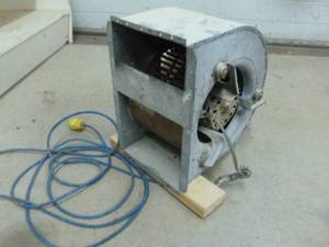 lot 404 image: Squirrel Fan