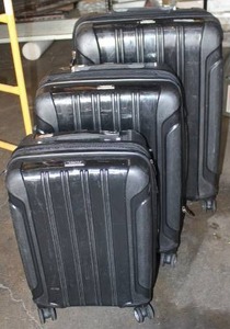lot 30 image: Ricardo Beverly Hills Rolling Luggage Set