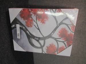 5 PC Canvas Art BLACK WHITE RED Tre...